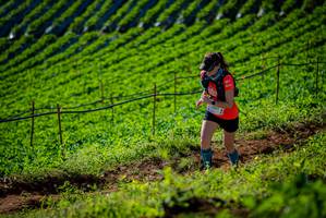 BIB: 
                            <button type="button" onclick="openModal(19160946)" class="btn btn-primary btn-sm float-right btn-popup" data-toggle="modal" data-target=".modal-high-quality">
                        <i class="fas fa-shopping-cart"></i> Add to Cart
                    </button>
                                            <button type="button" onclick="isThisMe(19160946, true)" class="btn btn-success btn-sm float-right btn-popup btn-isme hidden" data-toggle="tooltip" data-placement="bottom" title="นี่คือรูปของคุณใช่ไหม คลิกที่นี่เพื่อเอาเข้าอัลบั้ม">
                        <i class="fas fa-plus"></i> Add to album
                    </button>
                    <button type="button" onclick="isThisMe(19160946, false)" class="btn btn-warning btn-sm float-right btn-popup btn-isnotme hidden">
                        <i class="fas fa-ban"></i> Remove from album
                    </button>